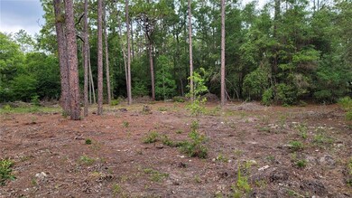 20775 SW 93rd Lane Rd, Dunnellon, FL 34431 - photo 5