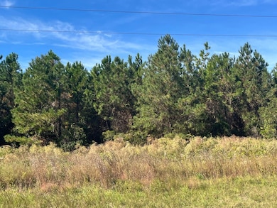 0 Jamestown Rd unit 25323571, Waycross, GA 31503 - photo 7