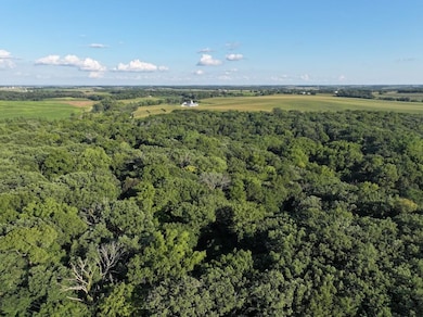 1.29 M/L Acres S Molar Ln, Turtle, WI 53511 - photo 6