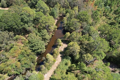 0 Hwy 277 unit 11615290, Graceville, FL 32440 - photo 5