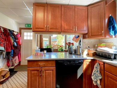 124 Carlisle St unit 1, Newton Center, MA 02459 - photo 4