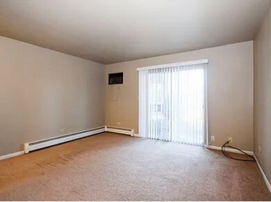 17975 Amherst Ct unit 102, Country Club Hills, IL 60478 - photo 2