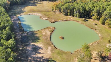 11250 Daw Collins Rd, Splendora, TX 77372 - photo 2