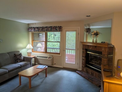 156 Deer Park Dr unit 135 A, Woodstock, NH 03262 - photo 5