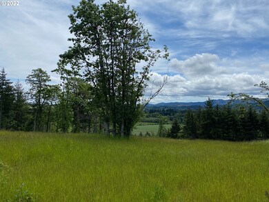 0 Business 18b Hwy unit 22447435, Willamina, OR 97396 - photo 2