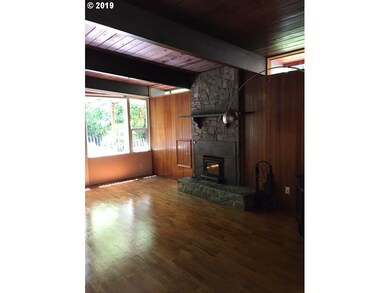 Fireplace Wood Burning Stove/Insert