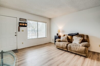Living Room 7692 Queen Palm