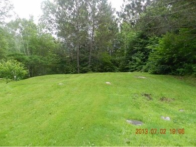 Mature Landscaping