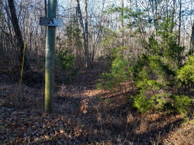 5 Garland Rd, Burnside, KY 42519 - photo 4