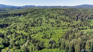 99994 Dowan Creek Rd, Forks, WA 98331 - photo 5