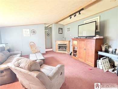 3200 Clymer Sherman Rd, Sherman, NY 14781 - photo 7