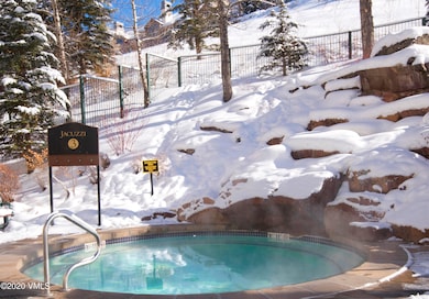 100 E Thomas Place unit 3055 - week 3, Beaver Creek, CO 81620 - photo 5