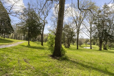 1186 Sneed Rd W unit 1196, Franklin, TN 37069 - photo 5