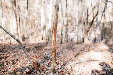 0 Greensboro Rd unit CL343963, Crawfordville, GA 30631 - photo 6