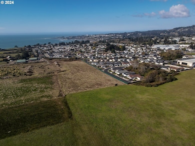 15870 Pedrioli Dr, Brookings, OR 97415 - photo 4