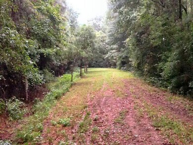 summitt plantation 3