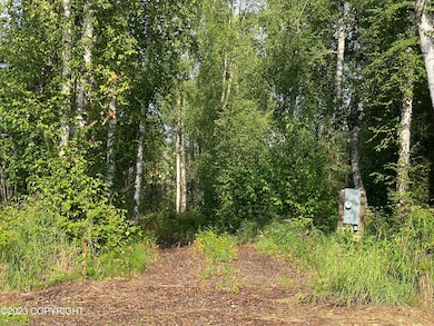 49375 S Noahs Cir, Willow, AK 99688 - photo 3