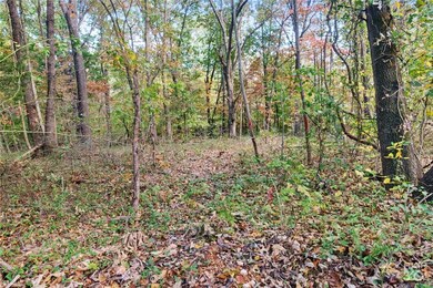 2 Ullock Cir, Bella Vista, AR 72715 - photo 5