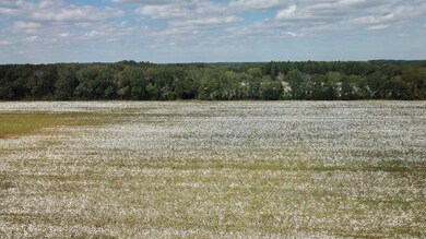 2864 McConnell Bridge Rd, Adel, GA 31620 - photo 6