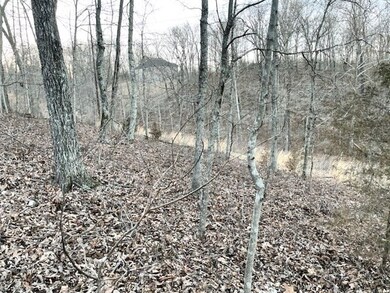 Lots 19 & 20 Tudor Ln, Bella Vista, AR 72715 - photo 4