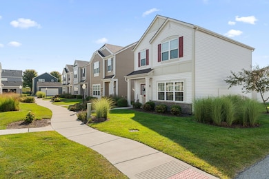 2-web-or-mls-DSC08400