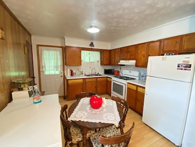 33 Tulip Dr, Chapmanville, WV 25508 - photo 4