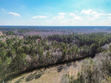 02.06.2025 - Cooper Store rd (1 of 5)