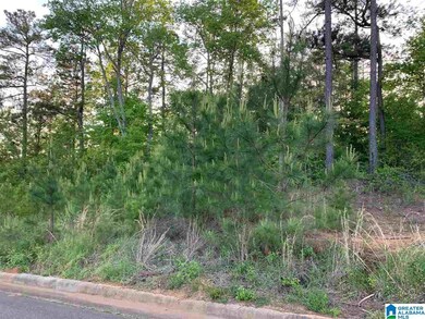 243 Wilson Way unit 6, Weaver, AL 36277 - photo 5