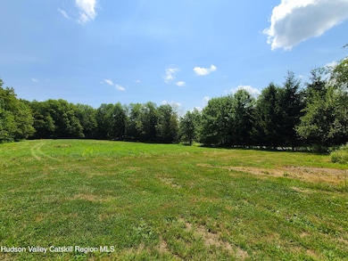 Tbd Stump Pond Rd, Livingstn Mnr, NY 12758 - photo 4