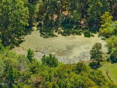 1980 Silk Hope Rd, Siler City, NC 27344 - photo 4