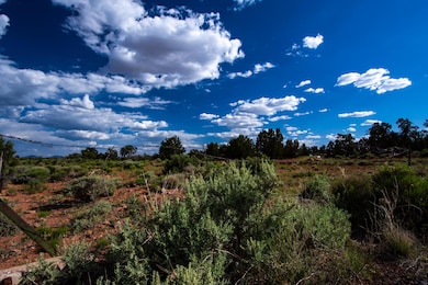 _DSC7331_1