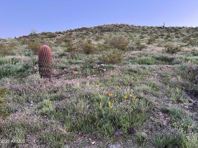 IMG_1230