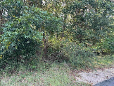 000 Quattlebaum Ave, Ridge Spring, SC 29129 - photo 3