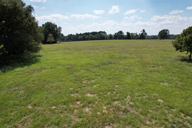 TBD-B County Road 435, Frankston, TX 75763 - photo 6