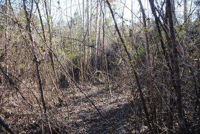 15 Gordon Pond Rd, Lafayette, GA 30728 - photo 6