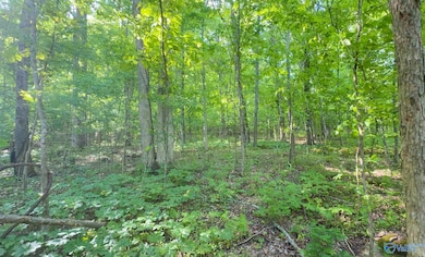 140 Ben Johnson Rd, Pulaski, TN 38478 - photo 4