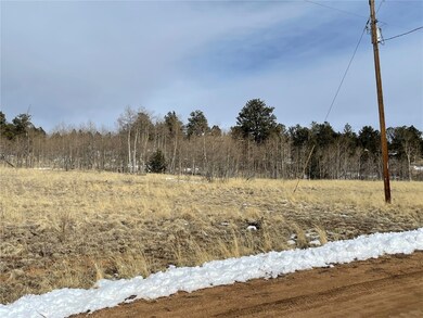 1241 Kiowa St, Como, CO 80432 - photo 3