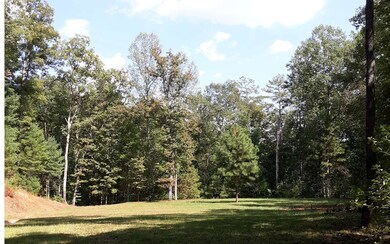 Additional View