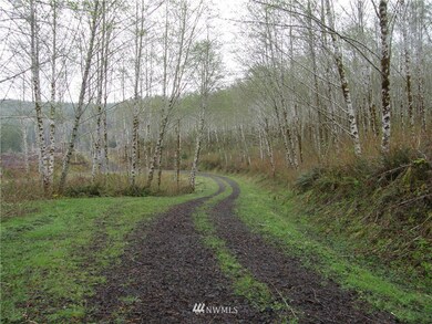 0 M.P. 63 U S 101, Raymond, WA 98577 - photo 3