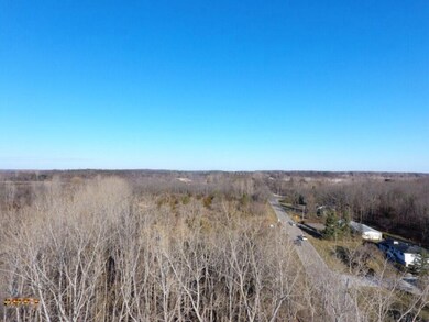 TBD E Main St, Maple Rapids, MI 48853 - photo 5