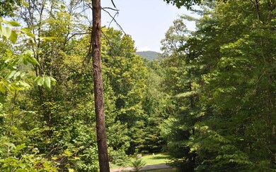 LT 18 Richlen Ridge Rd, Morganton, GA 30560 - photo 2