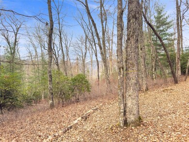 Lt 79 Tuttle Mink Trail, Sapphire, NC 28774 - photo 5