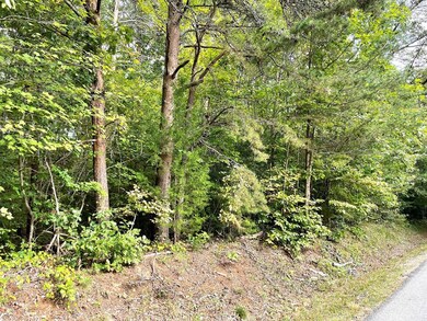 0 Oral Oaks Rd unit 20, South Hill, VA 23970 - photo 4