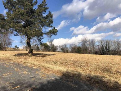 6 Captain Hizer Ln, Fort Defiance, VA 24437 - photo 4