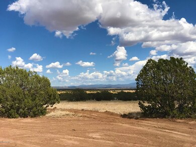 70 Off of Rawhide Ranch Rd, Ash Fork, AZ 86320 - photo 6