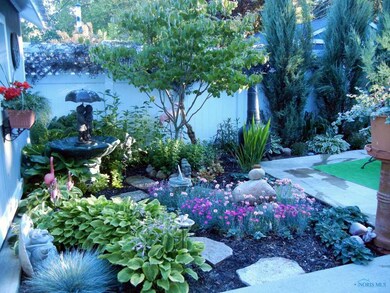 Backyard.