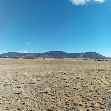 3552 Ute Trace, Hartsel, CO 80449 - photo 7