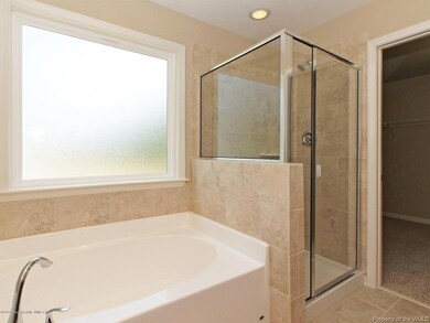 Master Tub & Shower