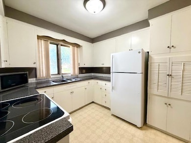 106 N Mcphail Ave, Caledonia, MN 55921 - photo 3