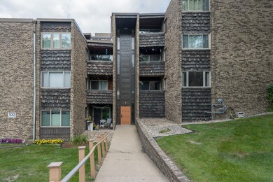 100 Cedar St unit 204, Mankato, MN 56001 - photo 4